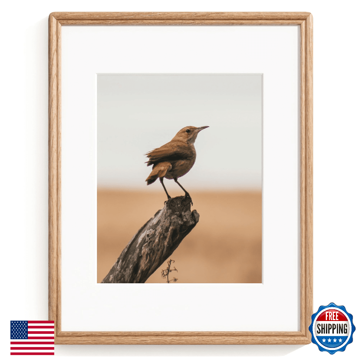 11X14 Picture Frame, Natural Solid Oak Wood Picture Frame with High Tempered Gla - Image 1