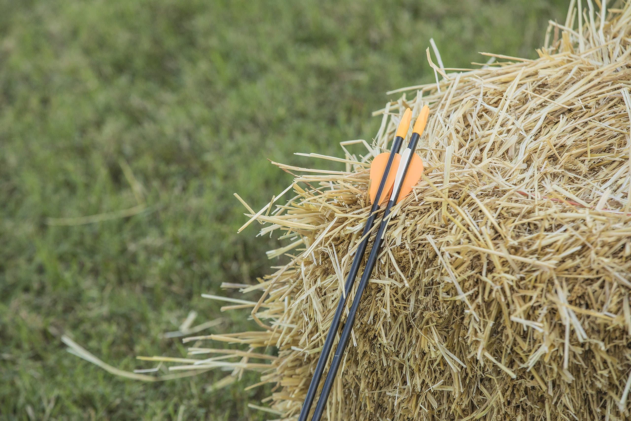 Bear Archery Youth Safetyglass Arrows, 26-Inch - 3 Pack | AS3800003 - Thumbnail 5