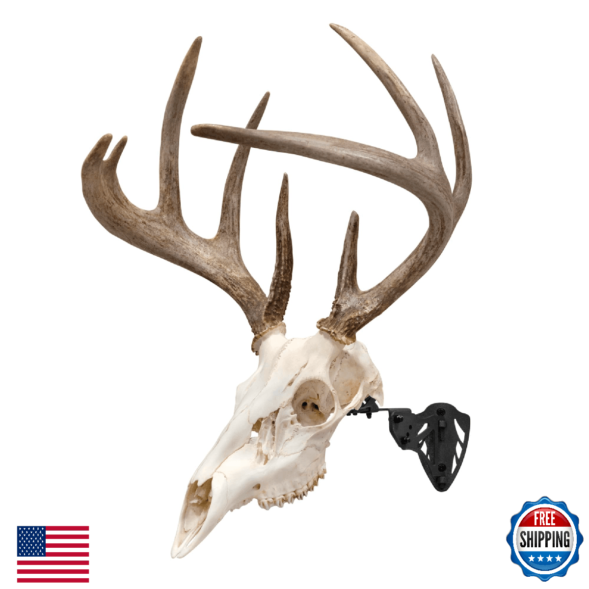 Allen Company EZ Mount Trophy Skull Hanger for Deer & Bear Skulls, Black - Image 1