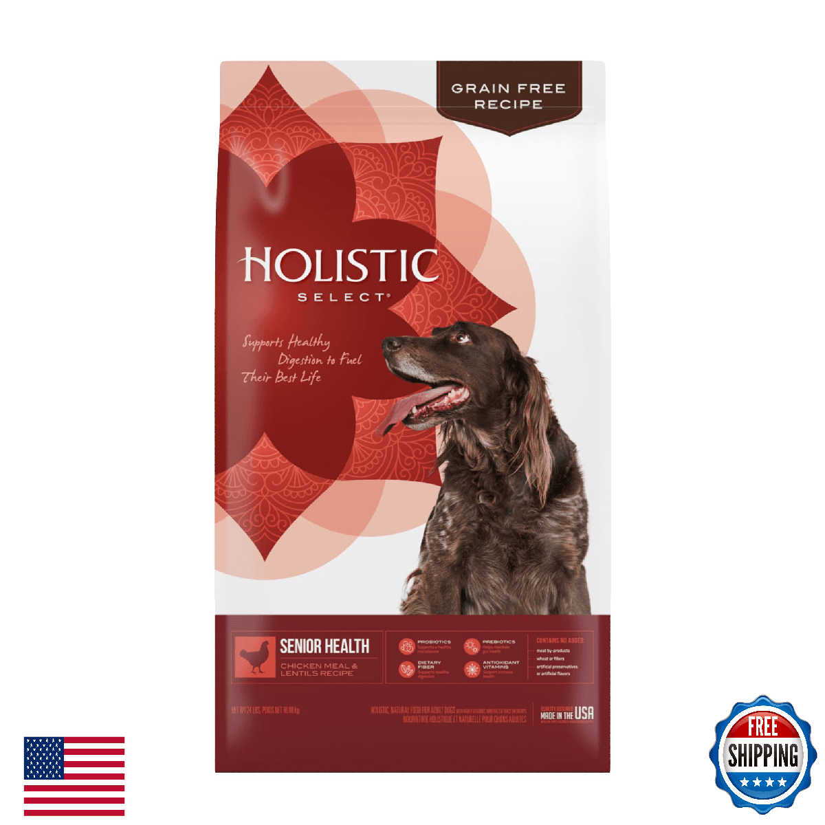 Holistic Select Natural Pet Food Holistic Select Natural Grain Free Dry Dog Food - Image 1