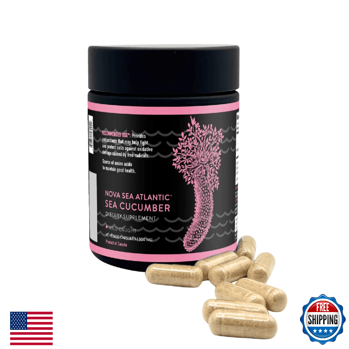 Nova Sea Atlantic Wild Sea Cucumber Supplement - Antioxidant, Healthy Energy - Image 1