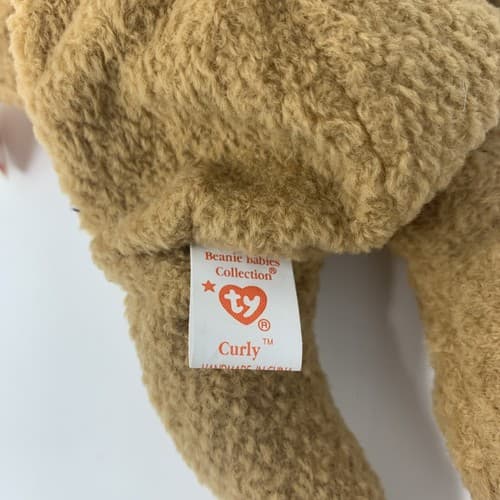 Original ty Curly TY Beanie Baby - Rare with many Errors (Ex Condition) (A3) - Thumbnail 6