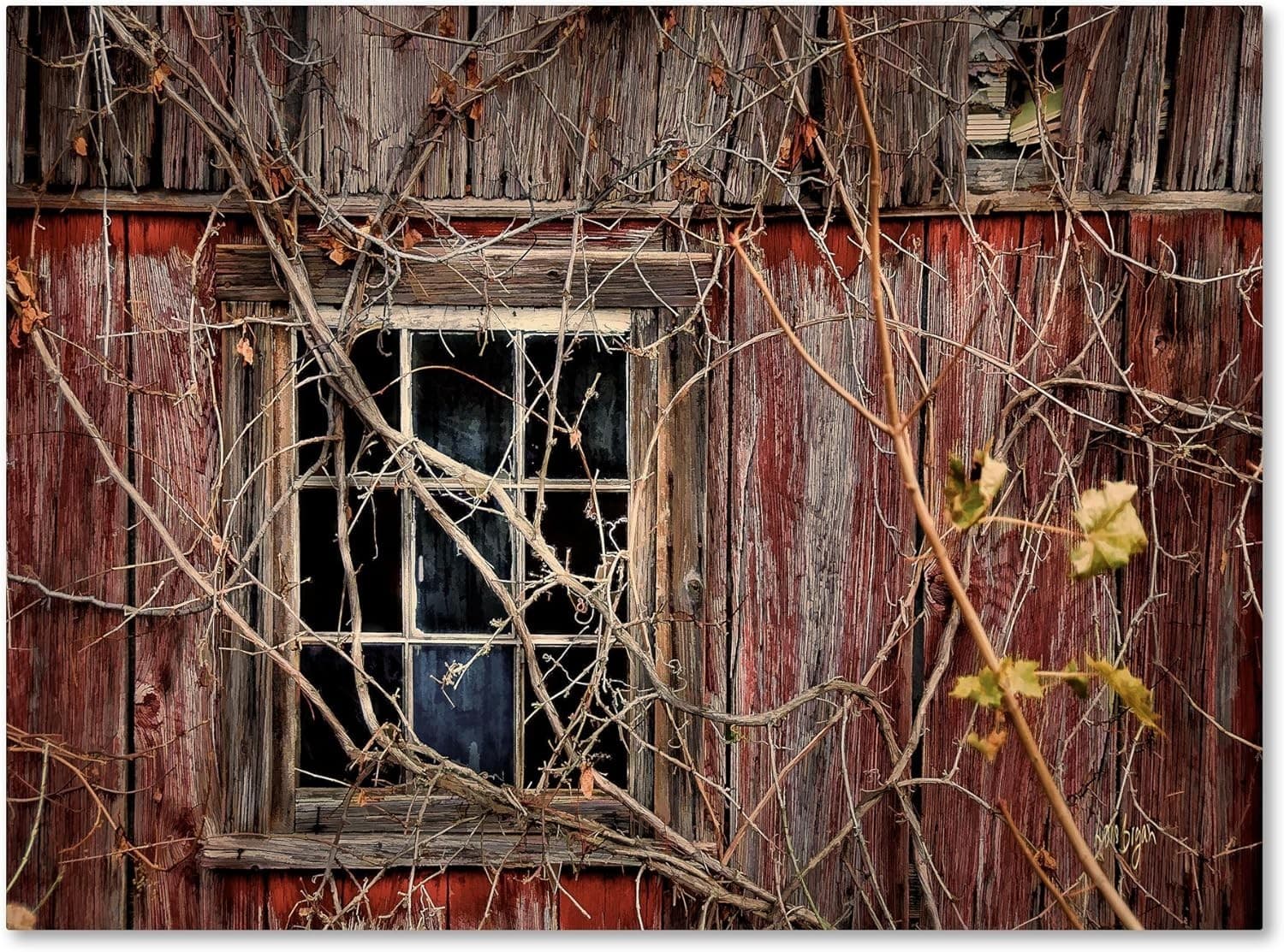 Trademark Fine Art Old Barn Window Canvas Wall Art by Lois Bryan, 22 by 32-Inch