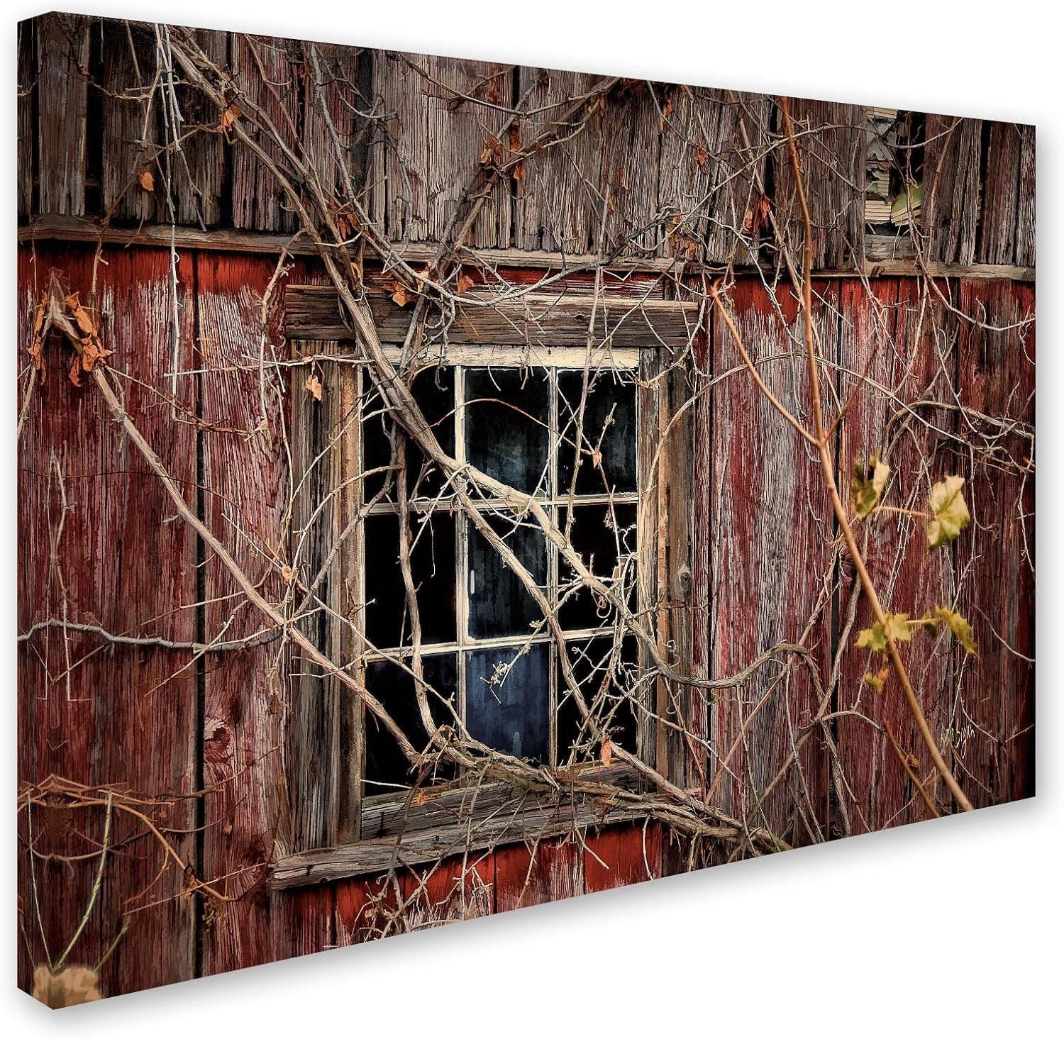 Trademark Fine Art Old Barn Window Canvas Wall Art by Lois Bryan, 22 by 32-Inch - Thumbnail 2