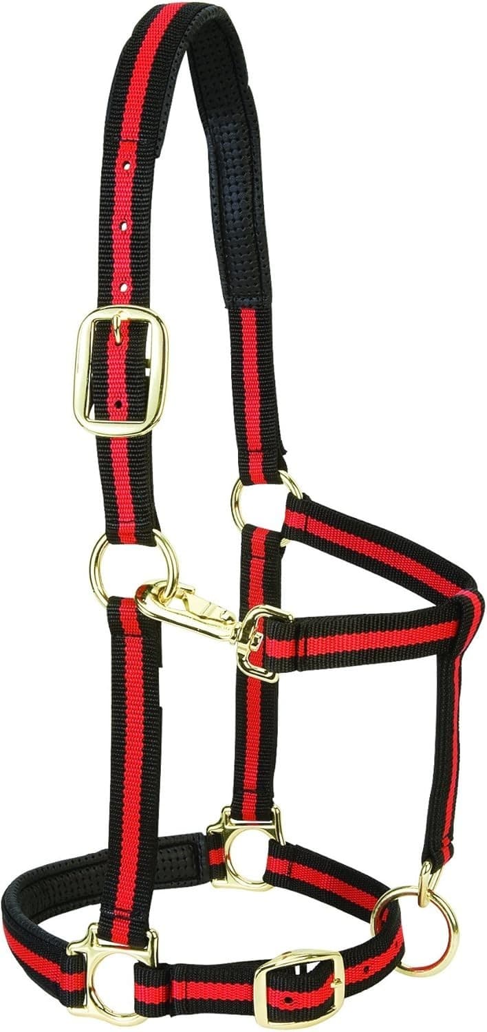 Weaver Leather Padded Adjustable Nylon Horse Halter, Red, 1" Small Horse