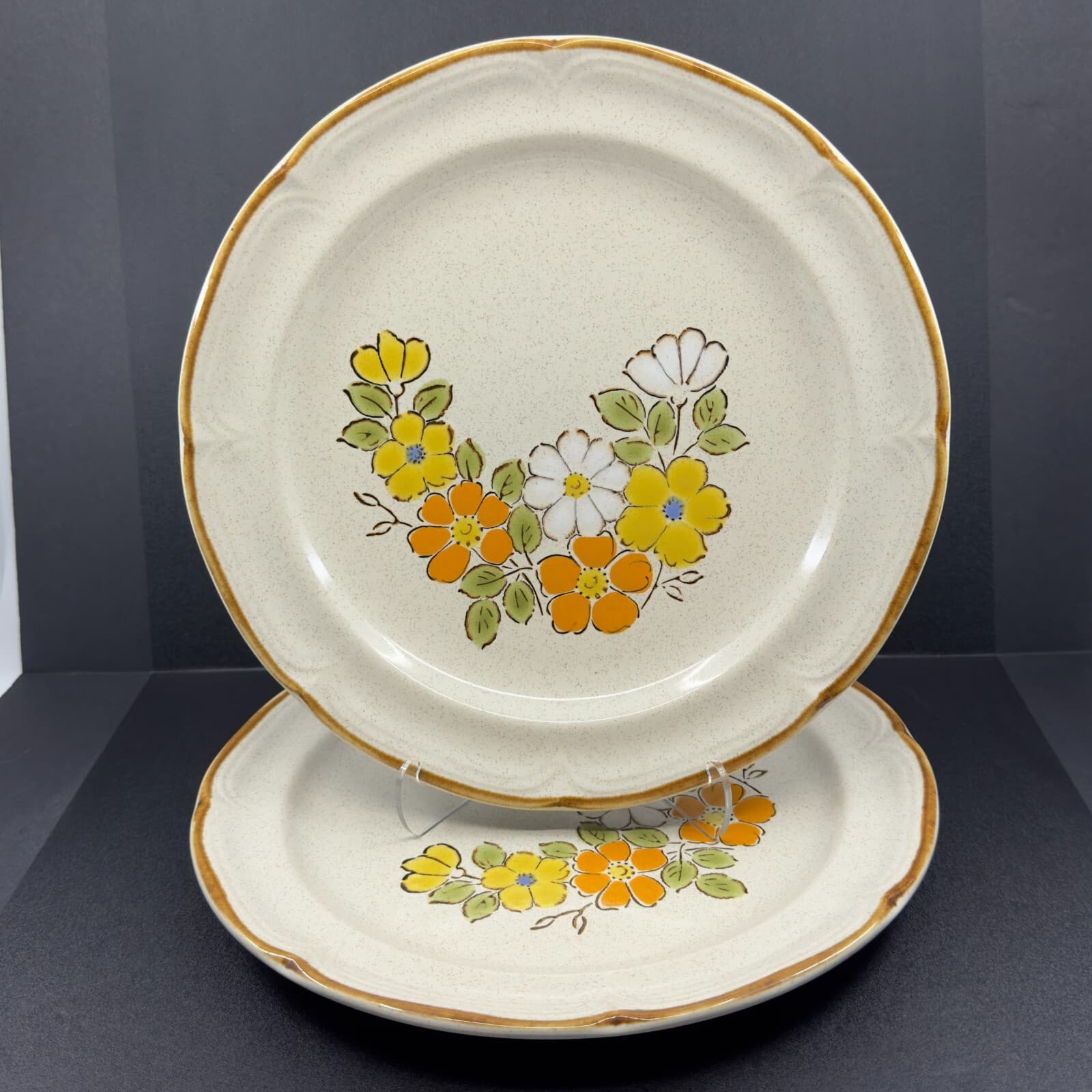 Spring Garden Baroque Hearthside Stoneware 10 3/4" Dinner Plates Set of 2 Japan - Image 1