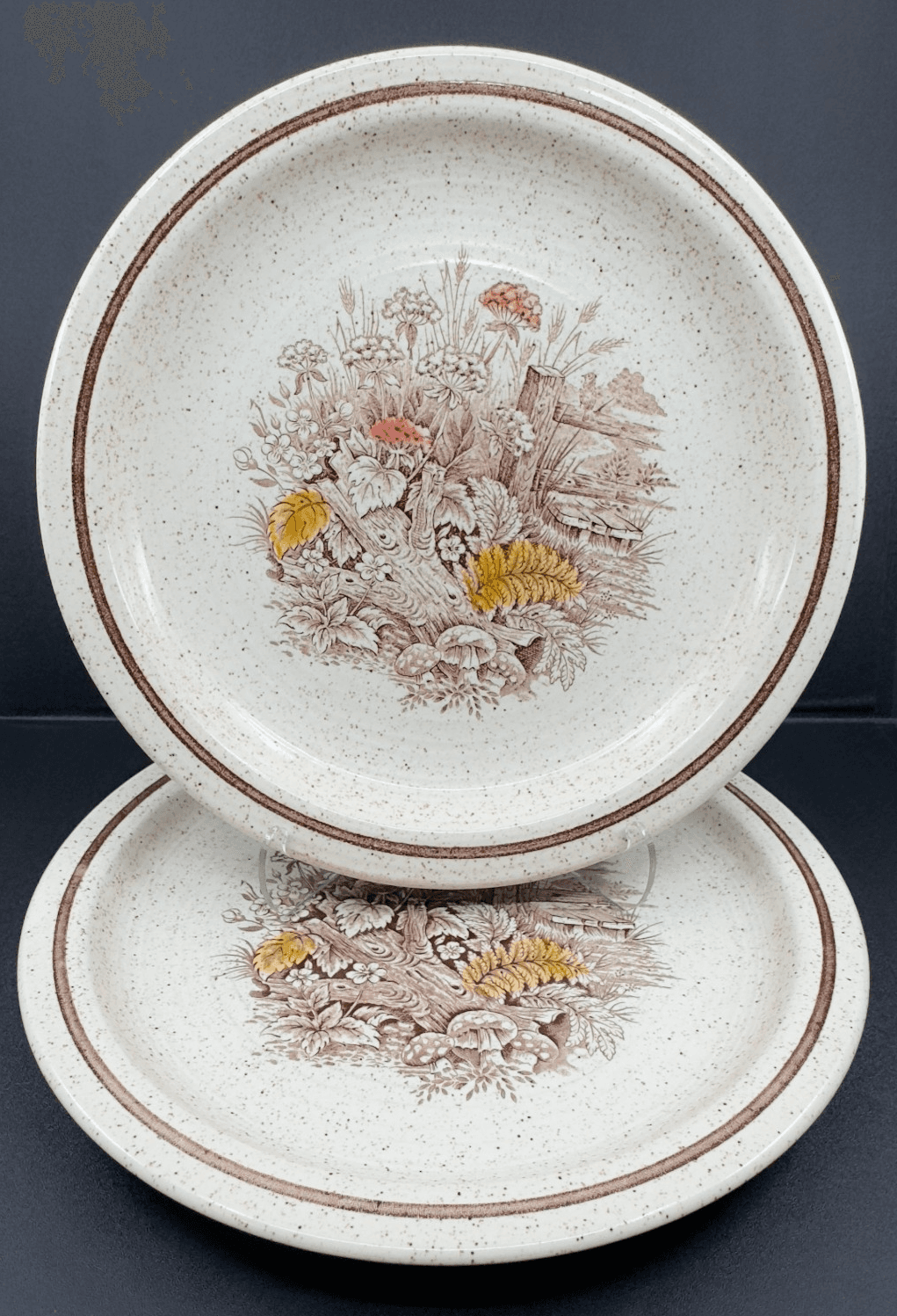 Homespun Stonecast by Churchill Hand Painted 10 1/8" Dinner Plates Hedgerow(x2) - Image 1