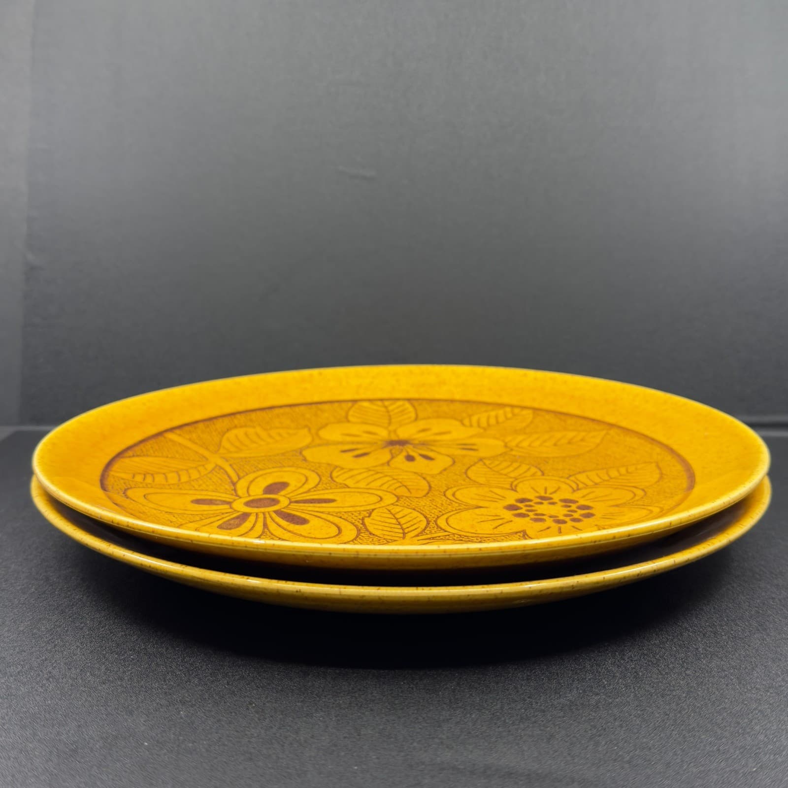 Homer Laughlin Poppy C-389 Gold Speck Bristol Dinner Plates 10 1/4" Set of 2 - Thumbnail 3