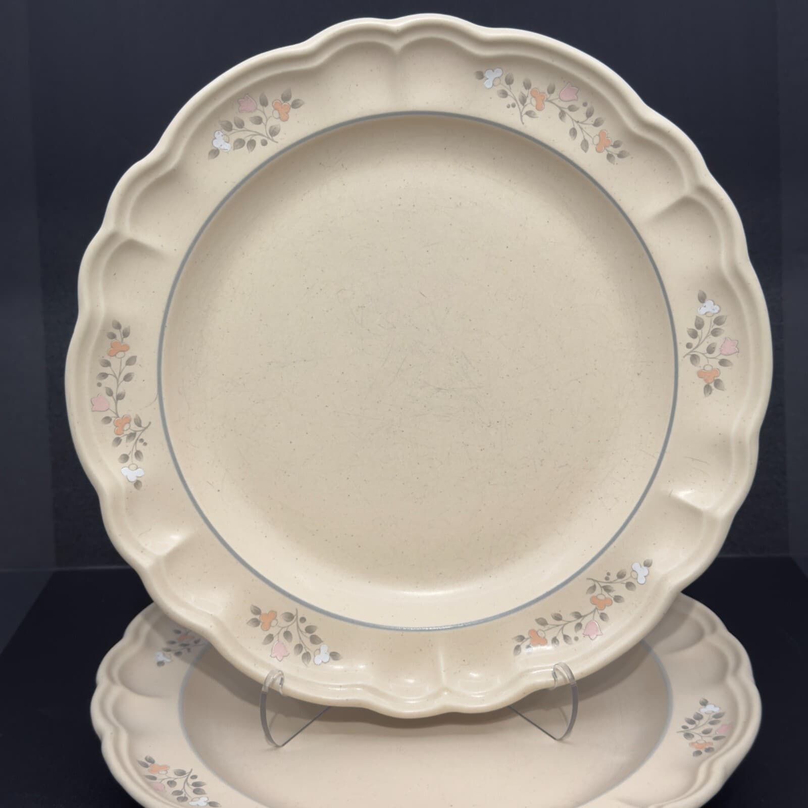 Pfaltzgraff Rememberance Dinner Plates 10 1/2" Set of 2 - Thumbnail 2