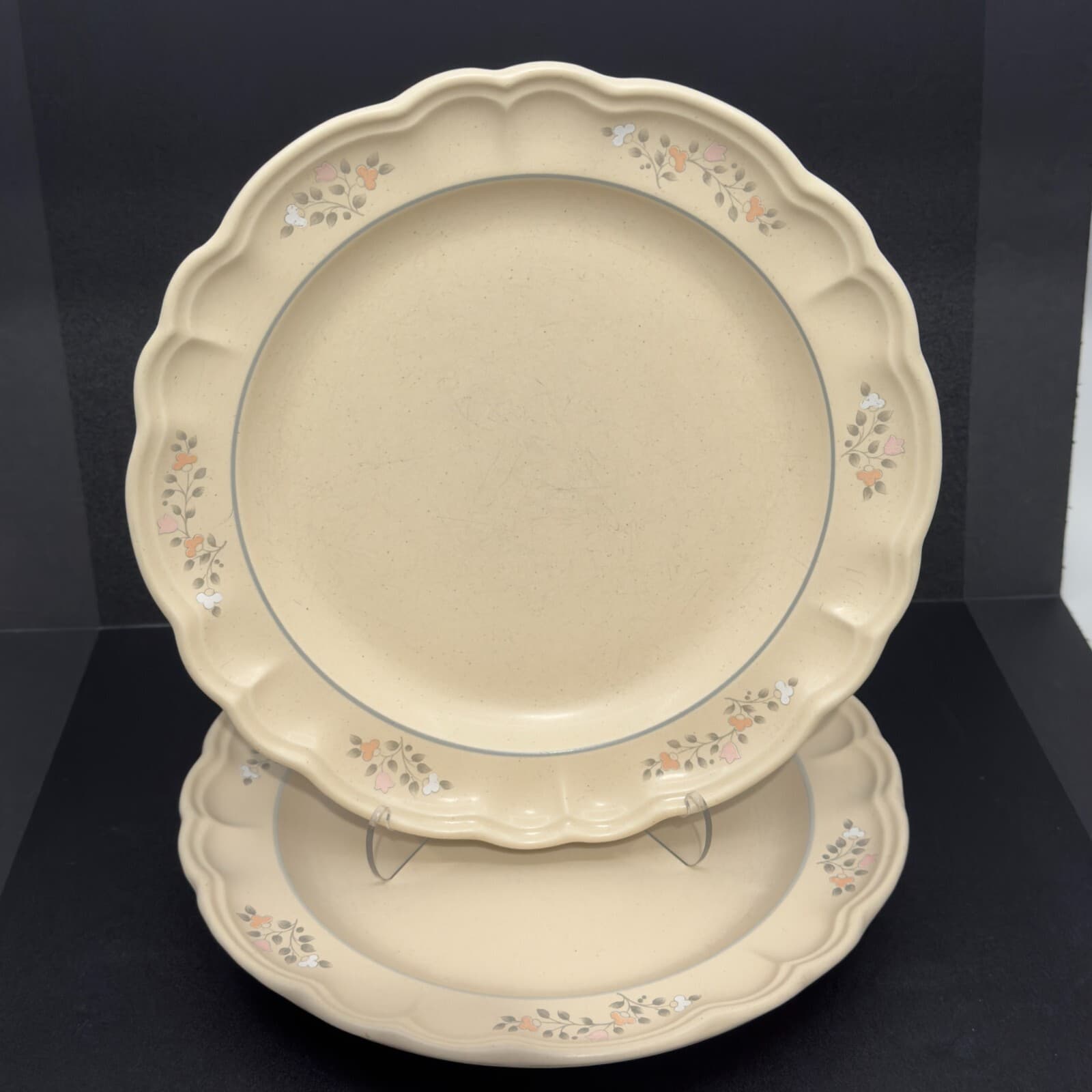 Pfaltzgraff Rememberance Dinner Plates 10 1/2" Set of 2 - Image 1