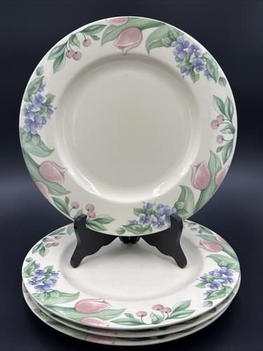 Pfaltzgraff Garden Party 10 1/2" Dinner Plate (Garden Impressions)Set of 4 (USA) - Image 1