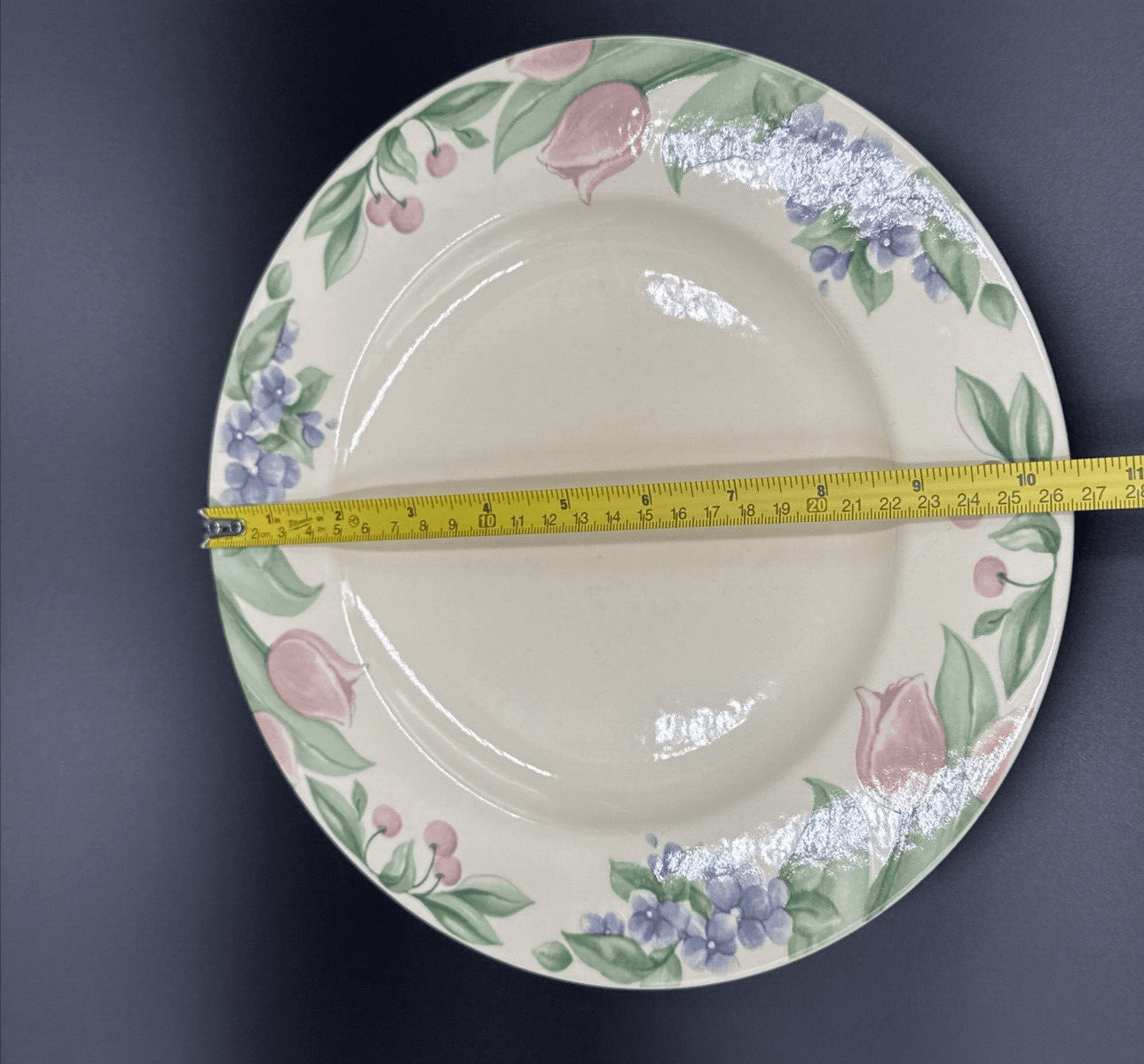 Pfaltzgraff Garden Party 10 1/2" Dinner Plate (Garden Impressions)Set of 4 (USA) - Thumbnail 3
