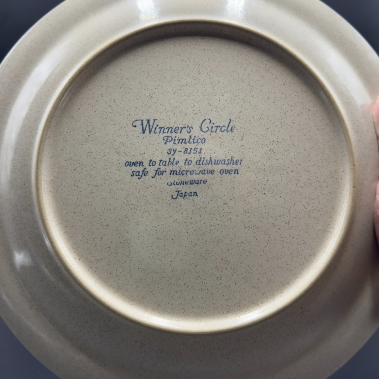 Winners Circle Pimlico SY-8151 Stoneware 10 1/2" Dinner Plates set of 2 - Thumbnail 3