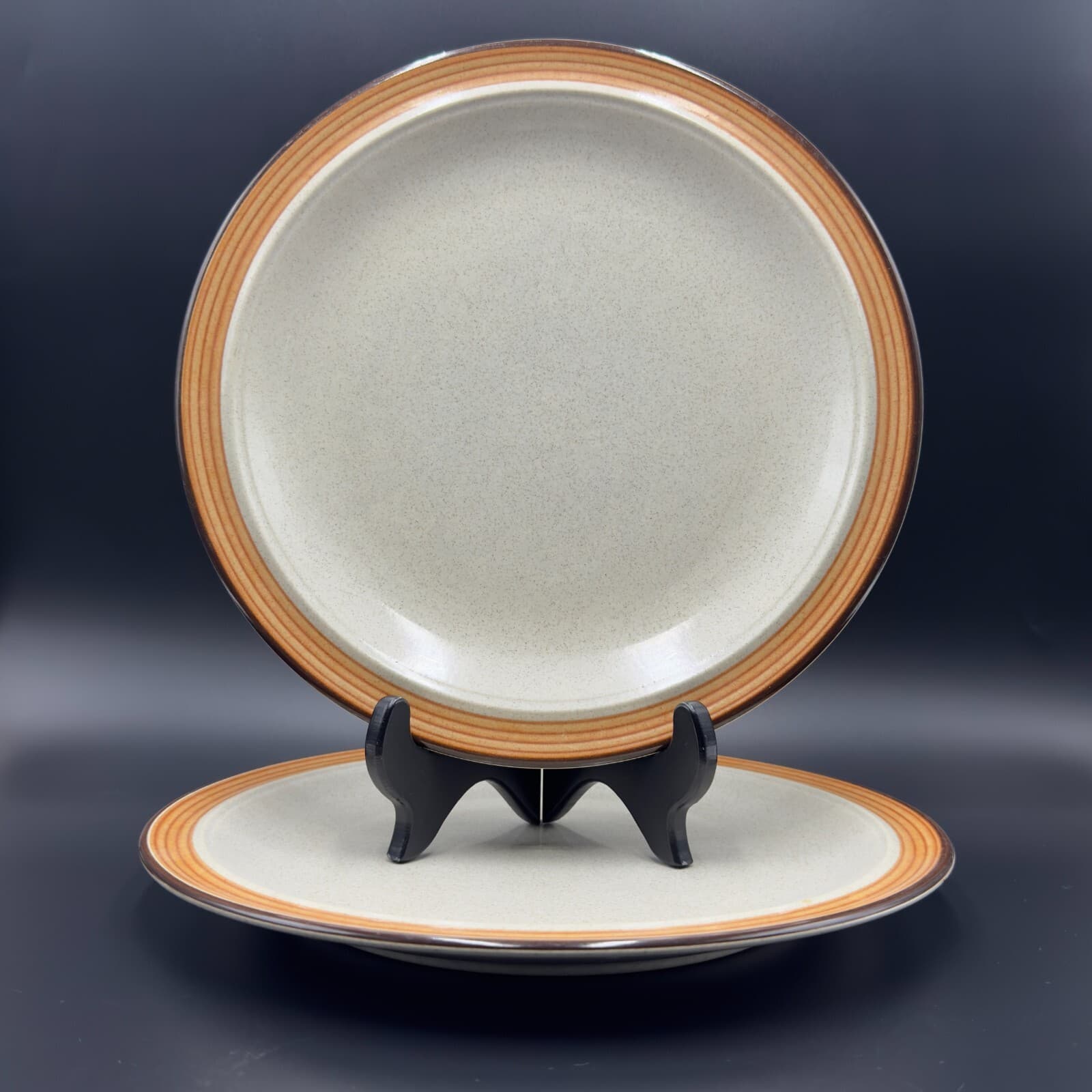 Winners Circle Pimlico SY-8151 Stoneware 10 1/2" Dinner Plates set of 2 - Image 1