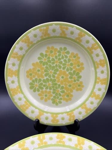 Franciscan picnic 10 3/4" Dinner Plates ( set of 2) - Thumbnail 2