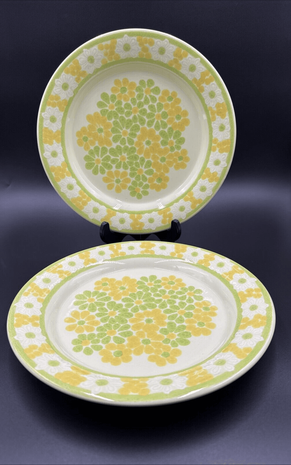 Franciscan picnic 10 3/4" Dinner Plates ( set of 2) - Image 1