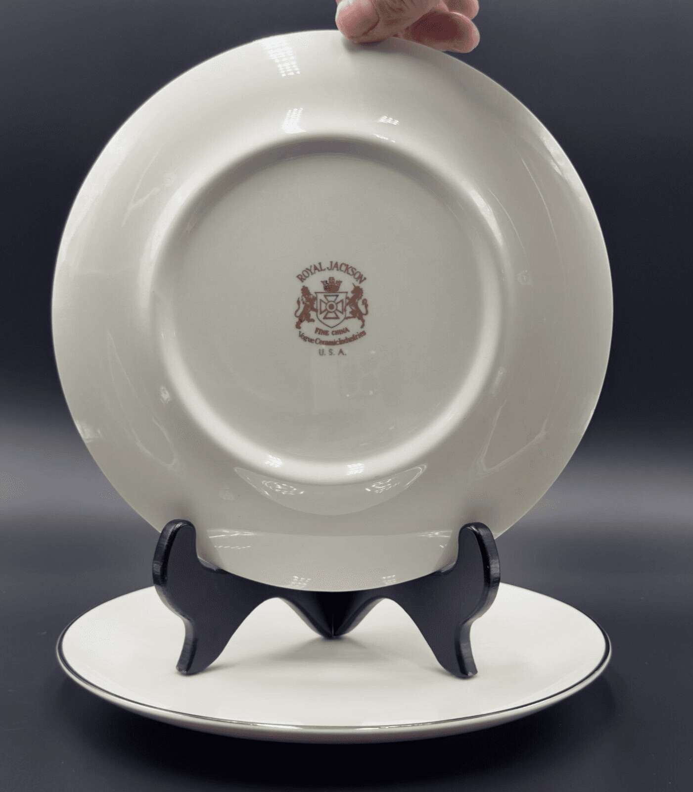 Royal Jackson Moderne (Platinum Trim) Salad Plates 8 3/8" Set of 2 - Thumbnail 2