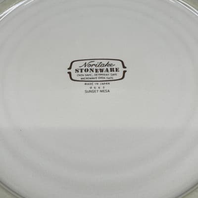 Noritake Stoneware Sunset Mesa 10 1/4" Dinner Plates #8663 Set of 2 - Thumbnail 3