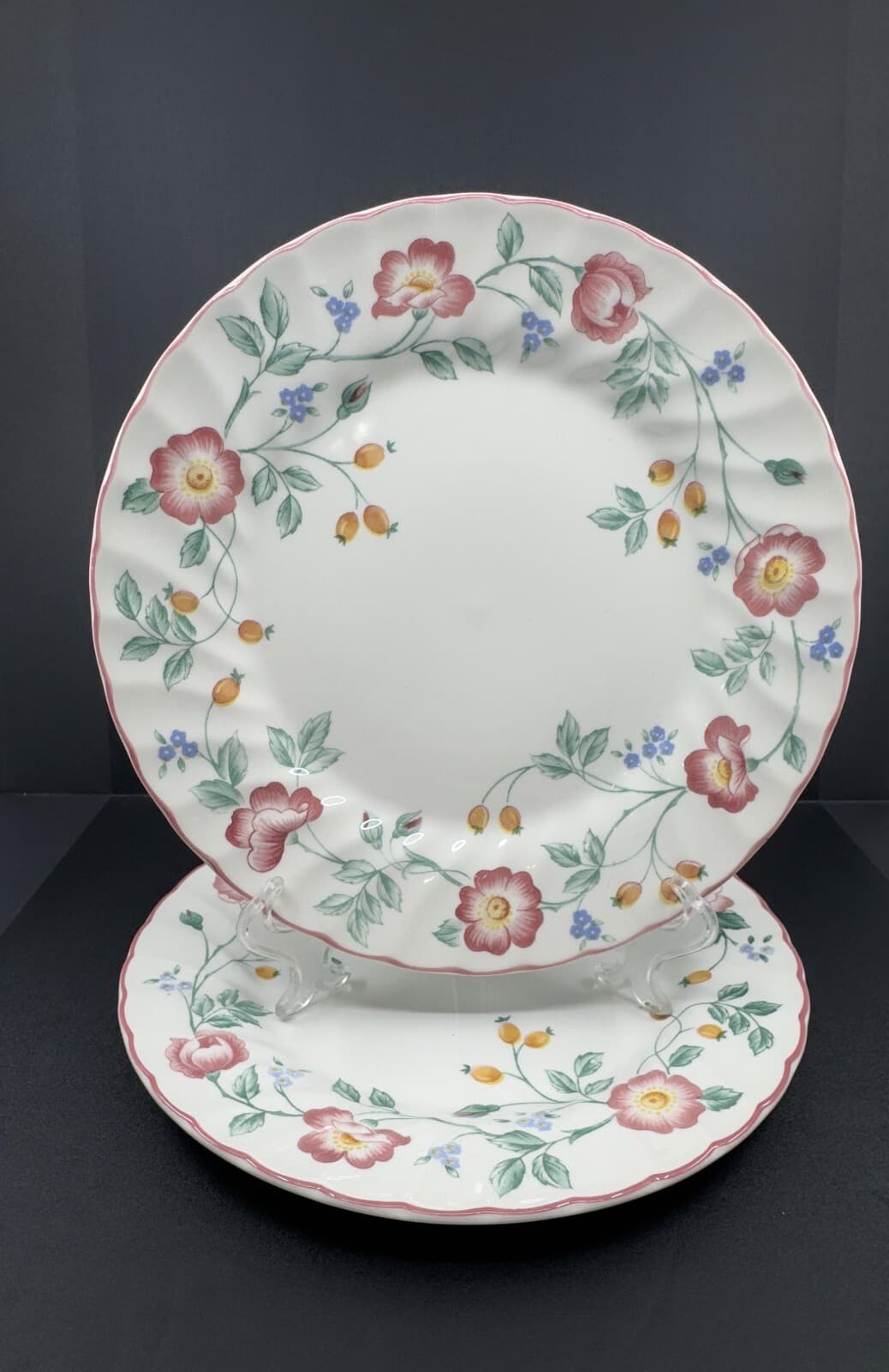 Churchill Staffordshire Briar Rose 10" Dinner Plates Set of 2 - Image 1