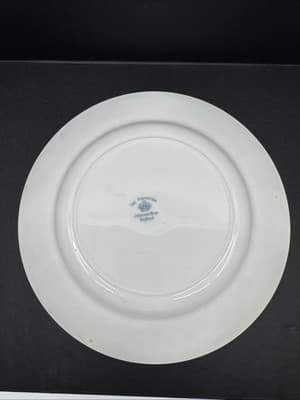 Johnson Brothers The Pontracina discontinued set of 2 Dinner plates. - Thumbnail 2
