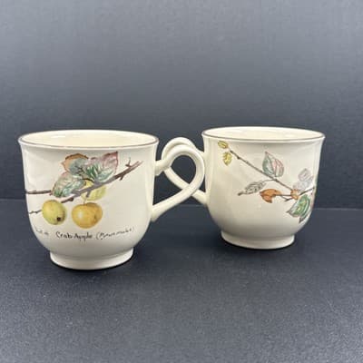 Noritake Ireland Diary Of An Edwardian Lady Edith Holden 1977 Tea Cup - Image 1