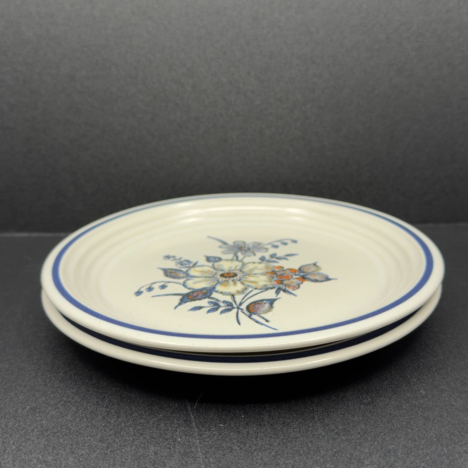 Town & Country Blue Ridge 6 3/8" Bread Plates ( set of 2) - Thumbnail 2