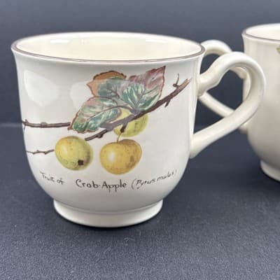 Noritake Ireland Diary Of An Edwardian Lady Edith Holden 1977 Tea Cup - Thumbnail 2
