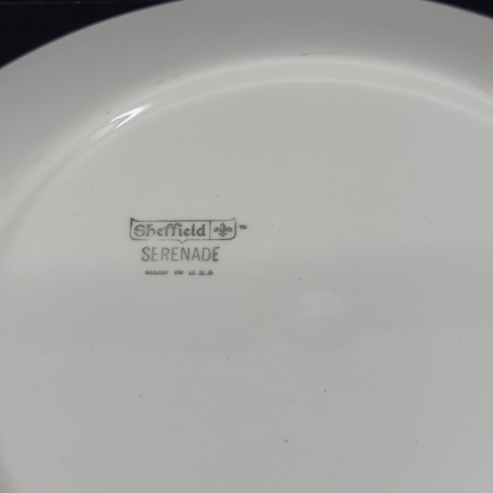 Homer Laughlin Sheffield Serenade 12 1/2" Serving Platter - Thumbnail 3