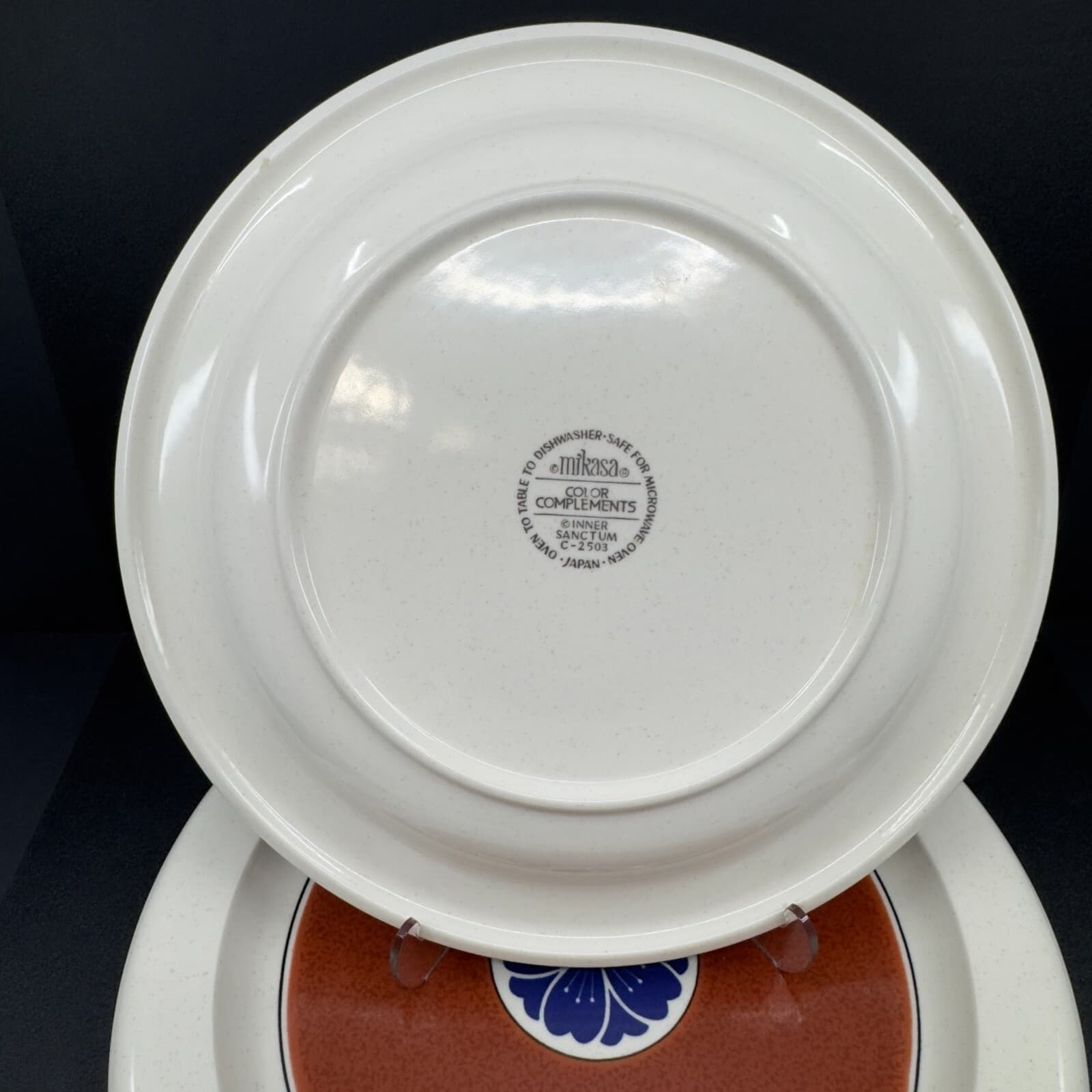 Mikasa Inner Sanctum C-2503 Color Complements 11" Dinner Plates Set of 2 - Thumbnail 3
