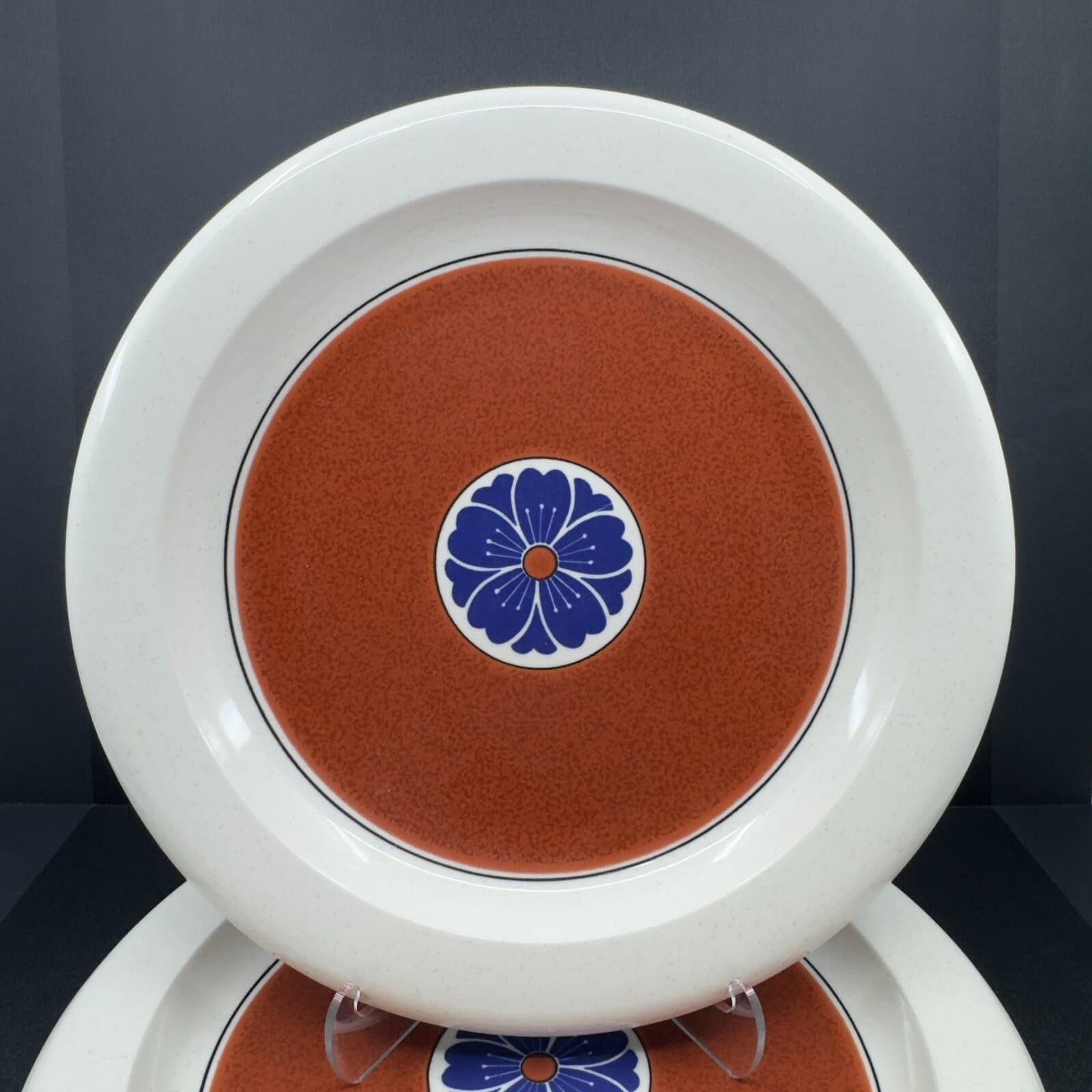 Mikasa Inner Sanctum C-2503 Color Complements 11" Dinner Plates Set of 2 - Thumbnail 2