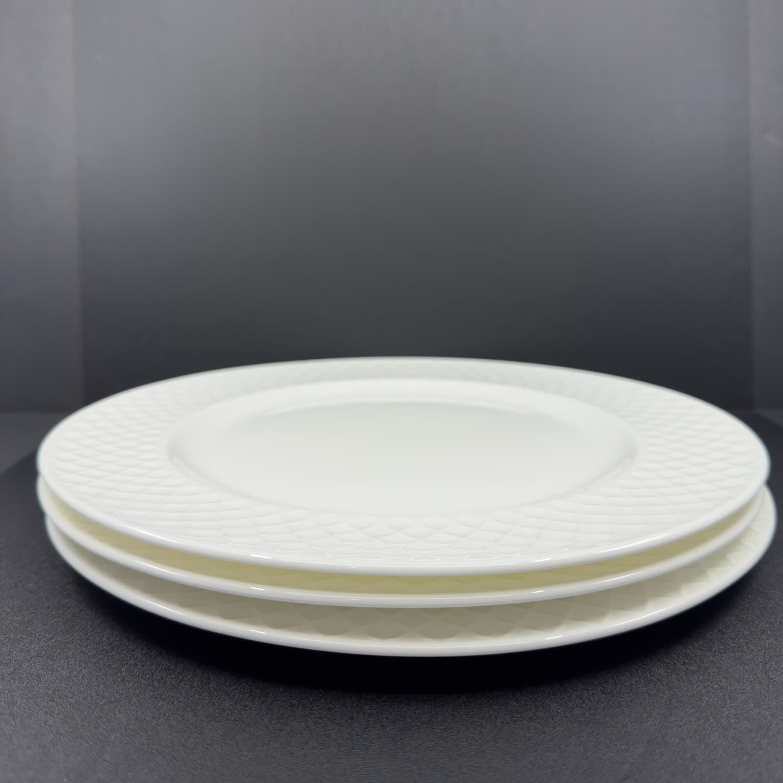 Mikasa Trellis Bone China 11" Dinner Plates - Thumbnail 4