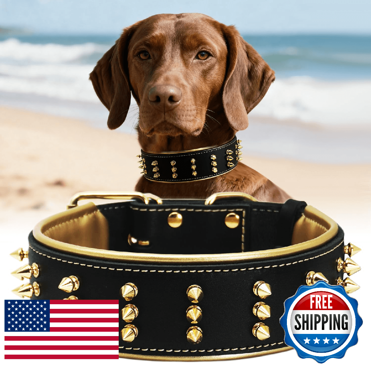 Spiked Leather Dog Collar – Premium Handmade Genuine Leather, 2.2-Inch Wide, Bol - Image 1