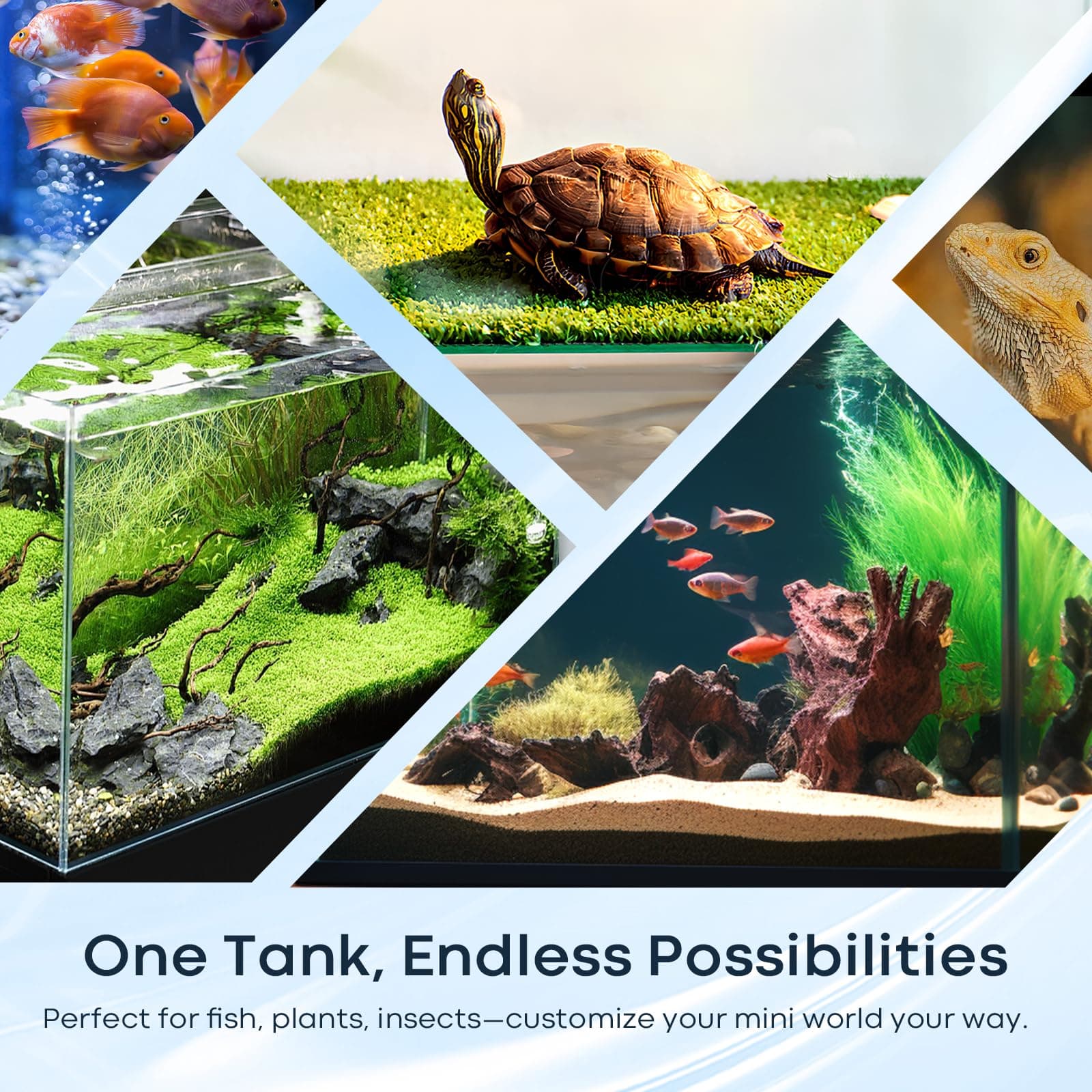 3 Gallon Glass Fish Tank Cube, Small Aquarium Fish Bowl for Betta Goldfish Snail - Thumbnail 7