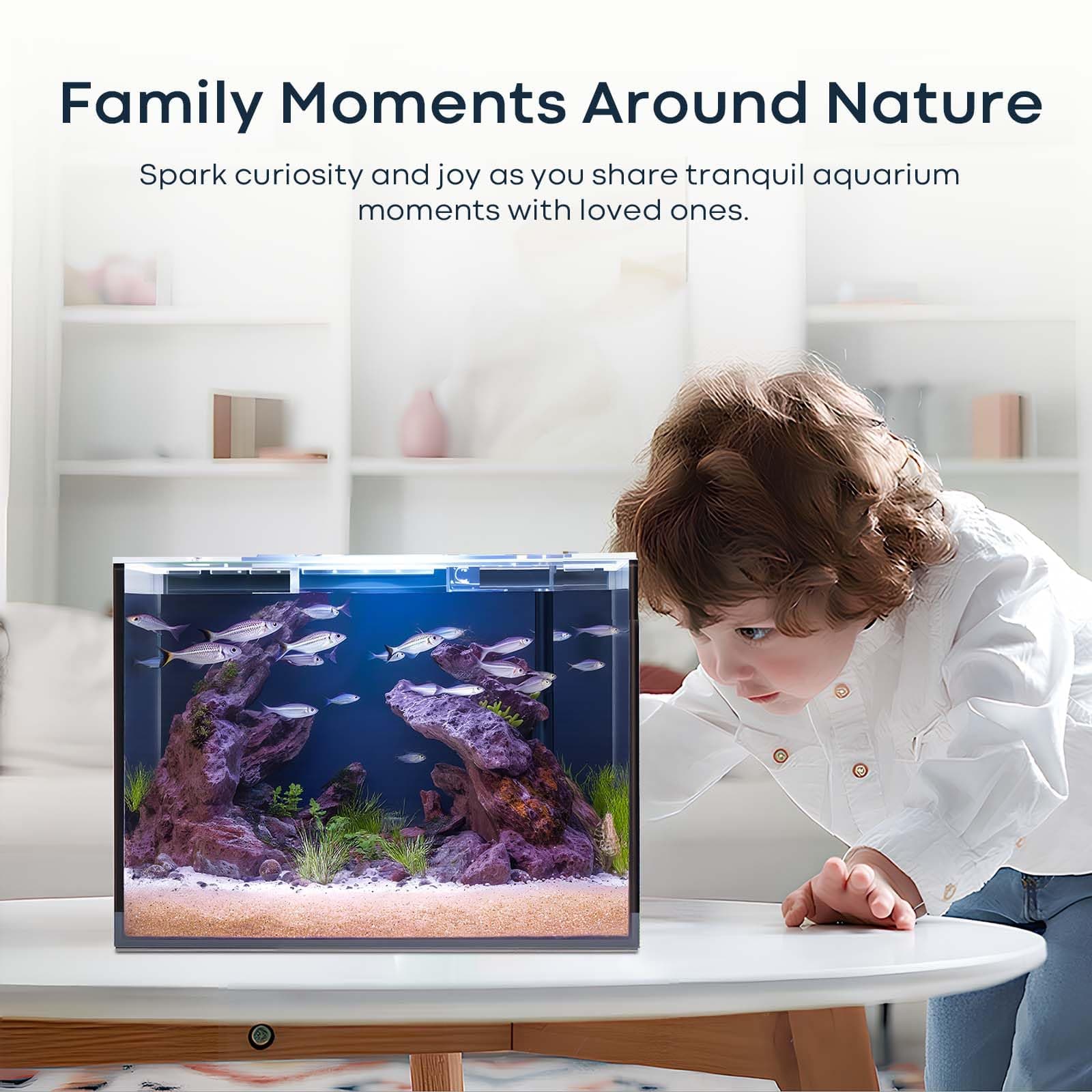 3 Gallon Glass Fish Tank Cube, Small Aquarium Fish Bowl for Betta Goldfish Snail - Thumbnail 8