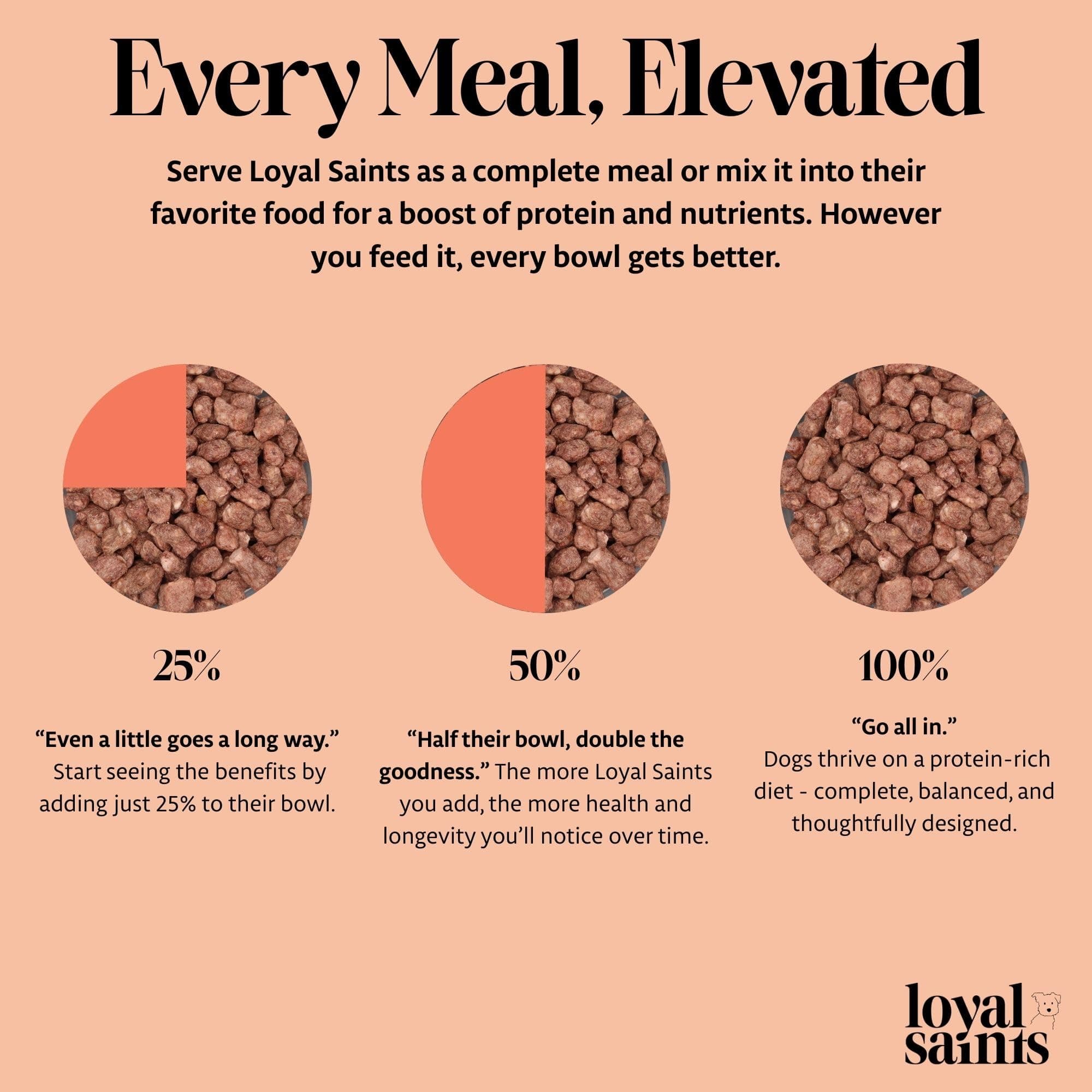Loyal Saints Freeze Dried Raw Dog Food - Premium Turkey and Salmon Flavor with H - Thumbnail 4