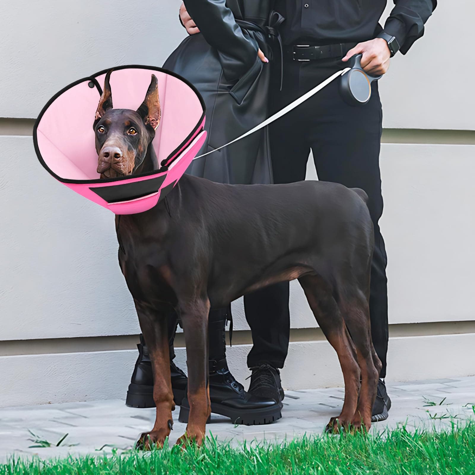 Preferhouse Dog Recovery Collar Cone for Medium Dogs, Adjustable Dog Cone Altern - Thumbnail 3
