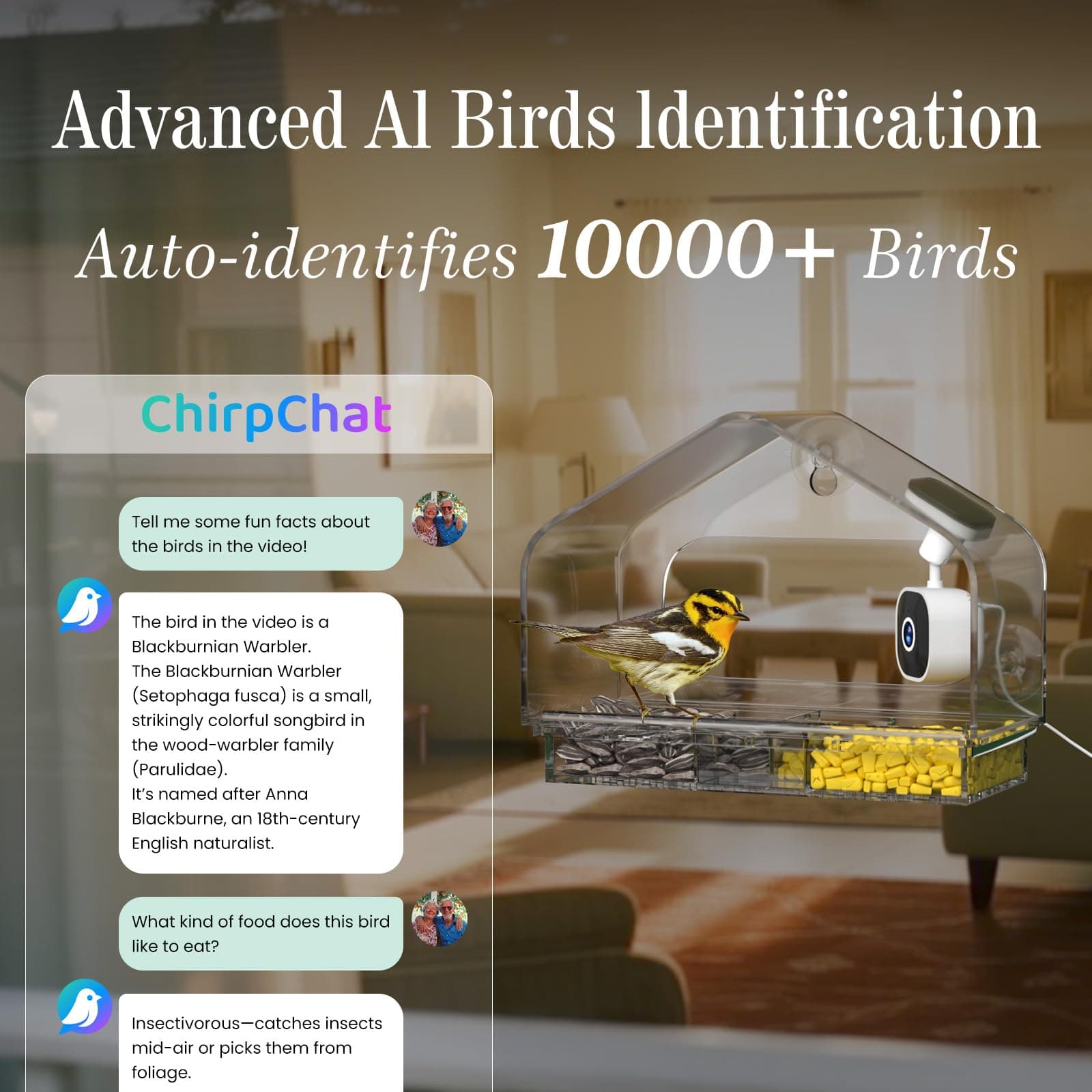 Richbird Smart Window Bird Feeder Camera with AI, Modern Design for Panoramic Vi - Thumbnail 4