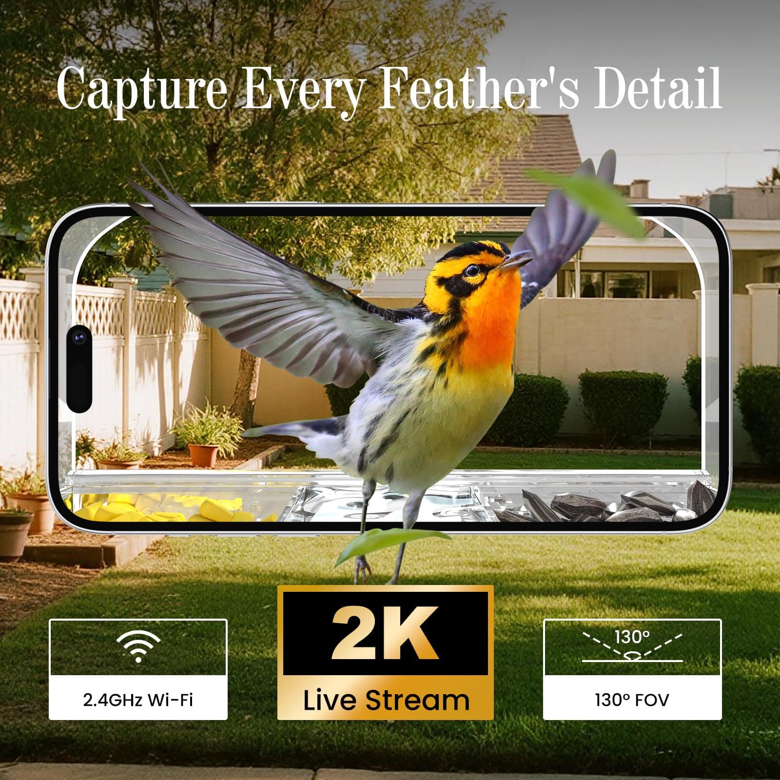 Richbird Smart Window Bird Feeder Camera with AI, Modern Design for Panoramic Vi - Thumbnail 5