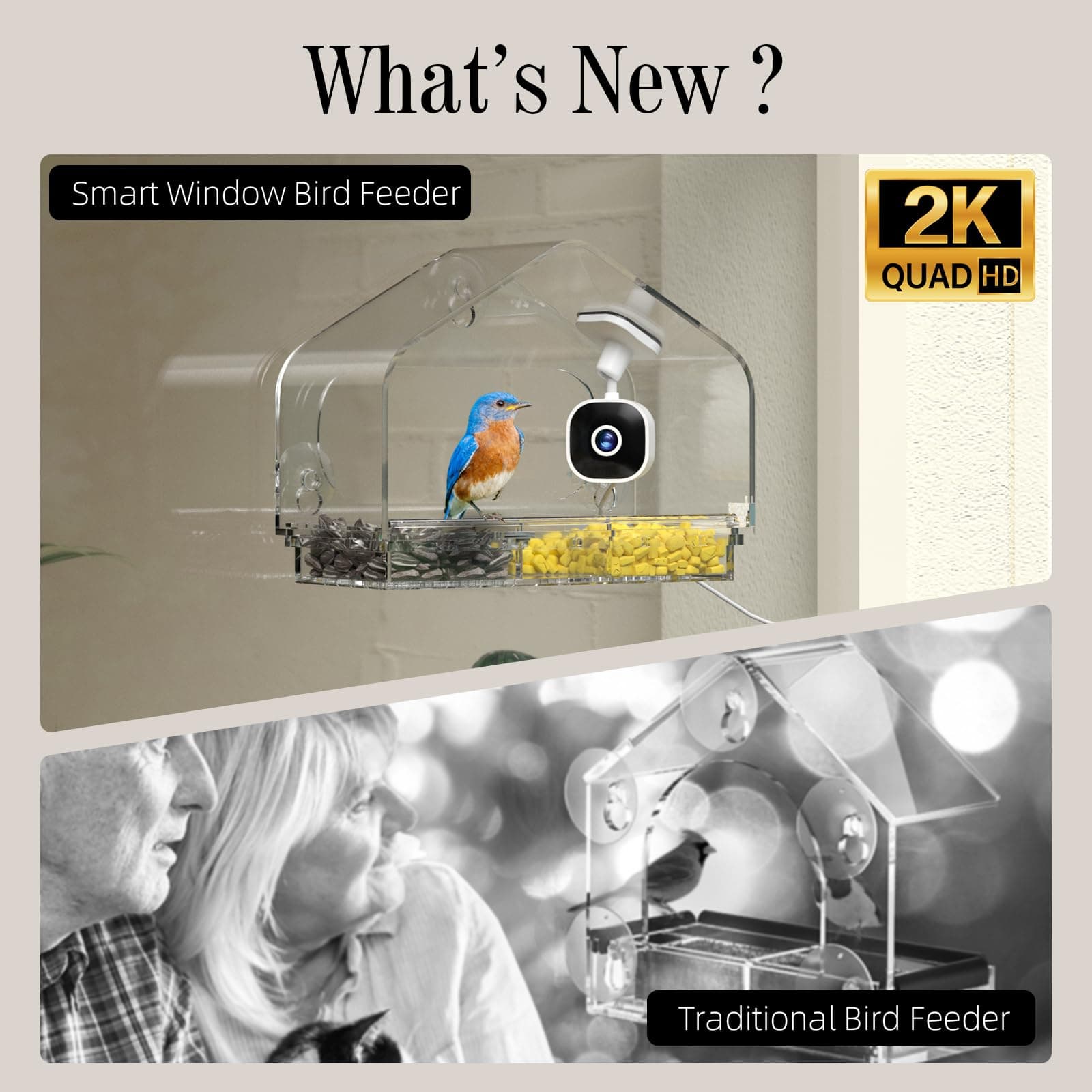 Richbird Smart Window Bird Feeder Camera with AI, Modern Design for Panoramic Vi - Thumbnail 2