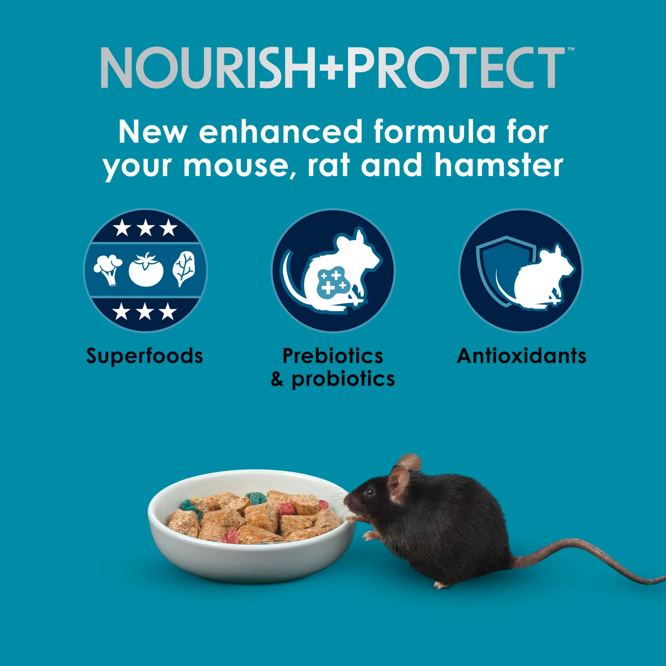 Kaytee Forti-Diet Pro Health Nourish+Protect Mouse, Rat & Hamster Food, Comprehe - Thumbnail 3