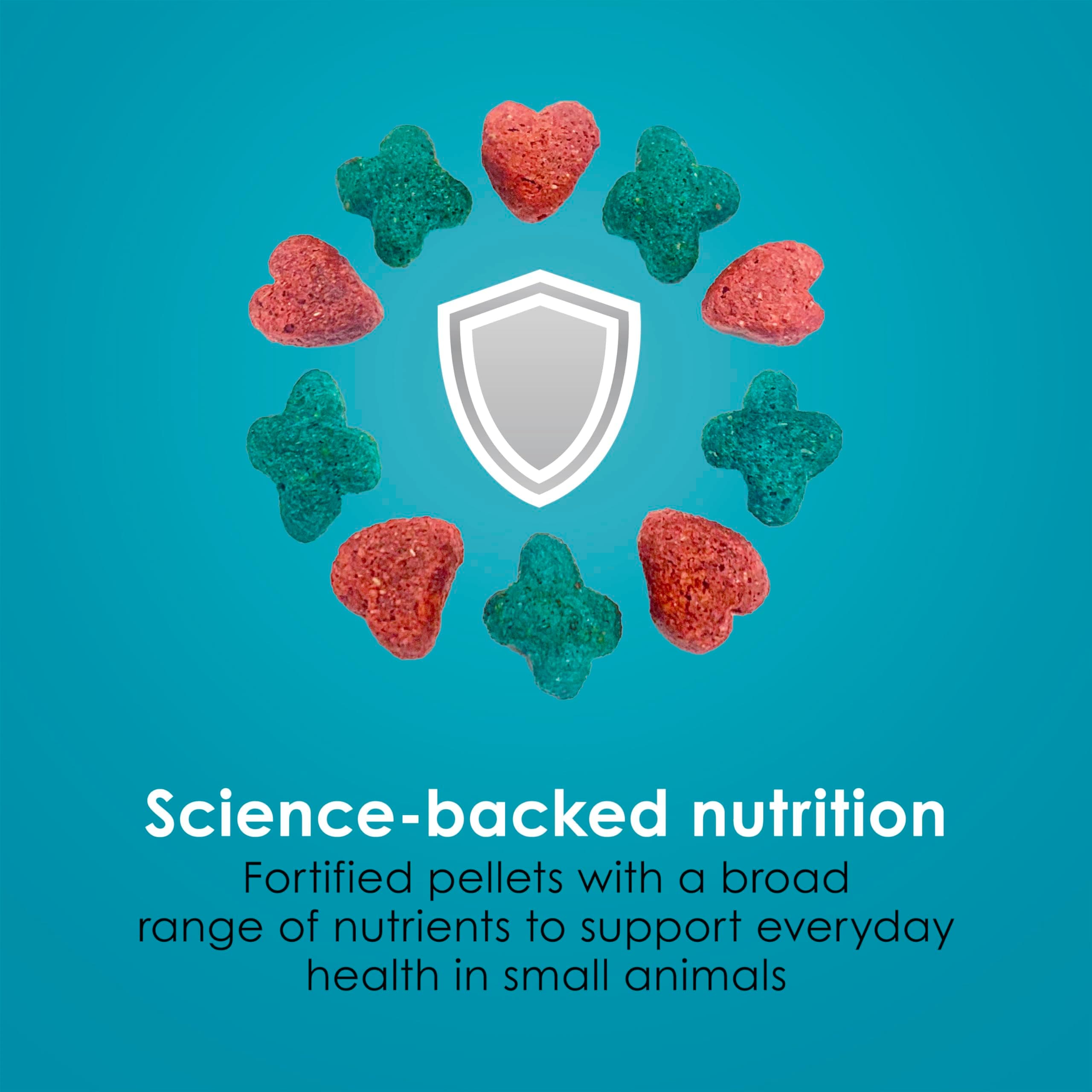 Kaytee Forti-Diet Pro Health Nourish+Protect Mouse, Rat & Hamster Food, Comprehe - Thumbnail 7