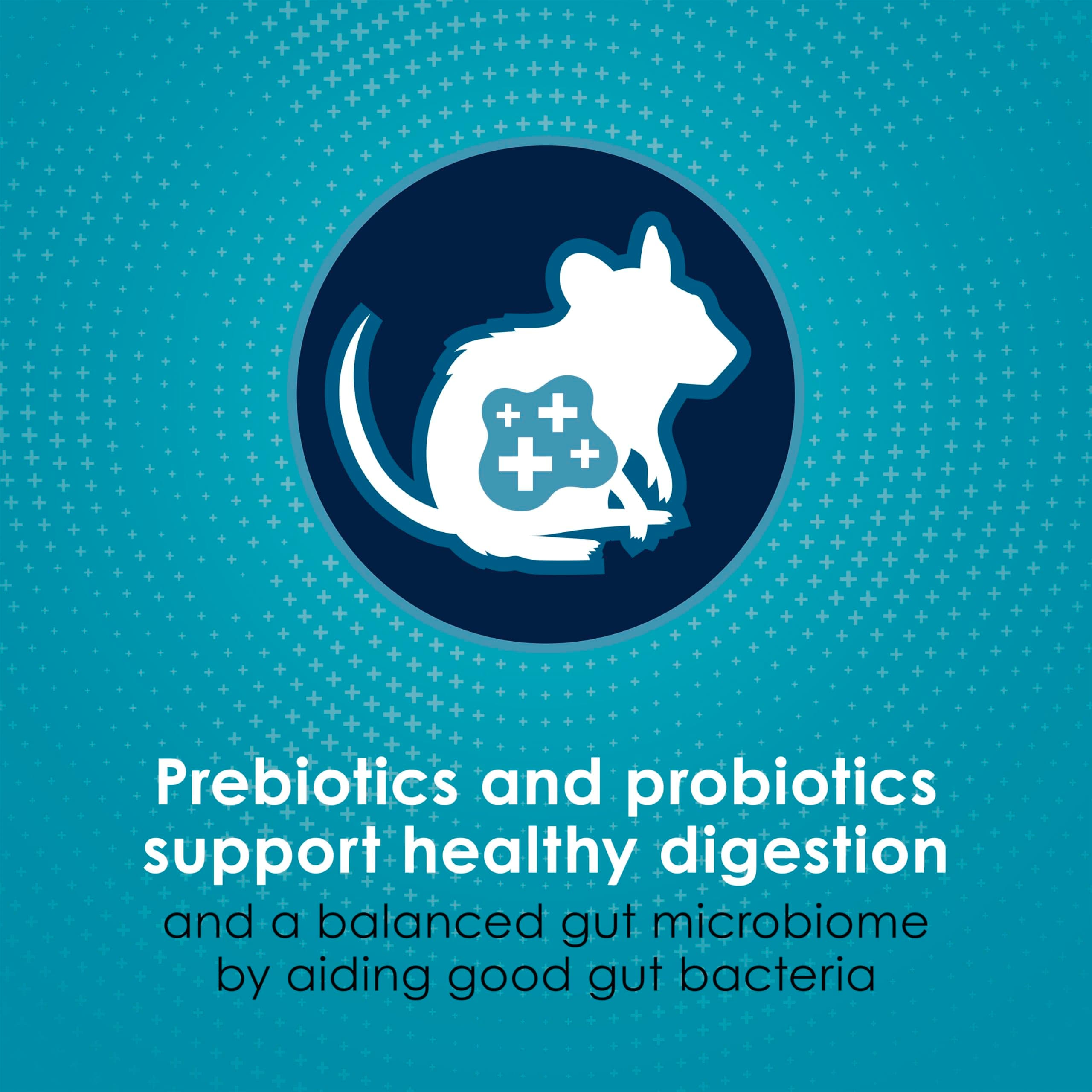 Kaytee Forti-Diet Pro Health Nourish+Protect Mouse, Rat & Hamster Food, Comprehe - Thumbnail 5