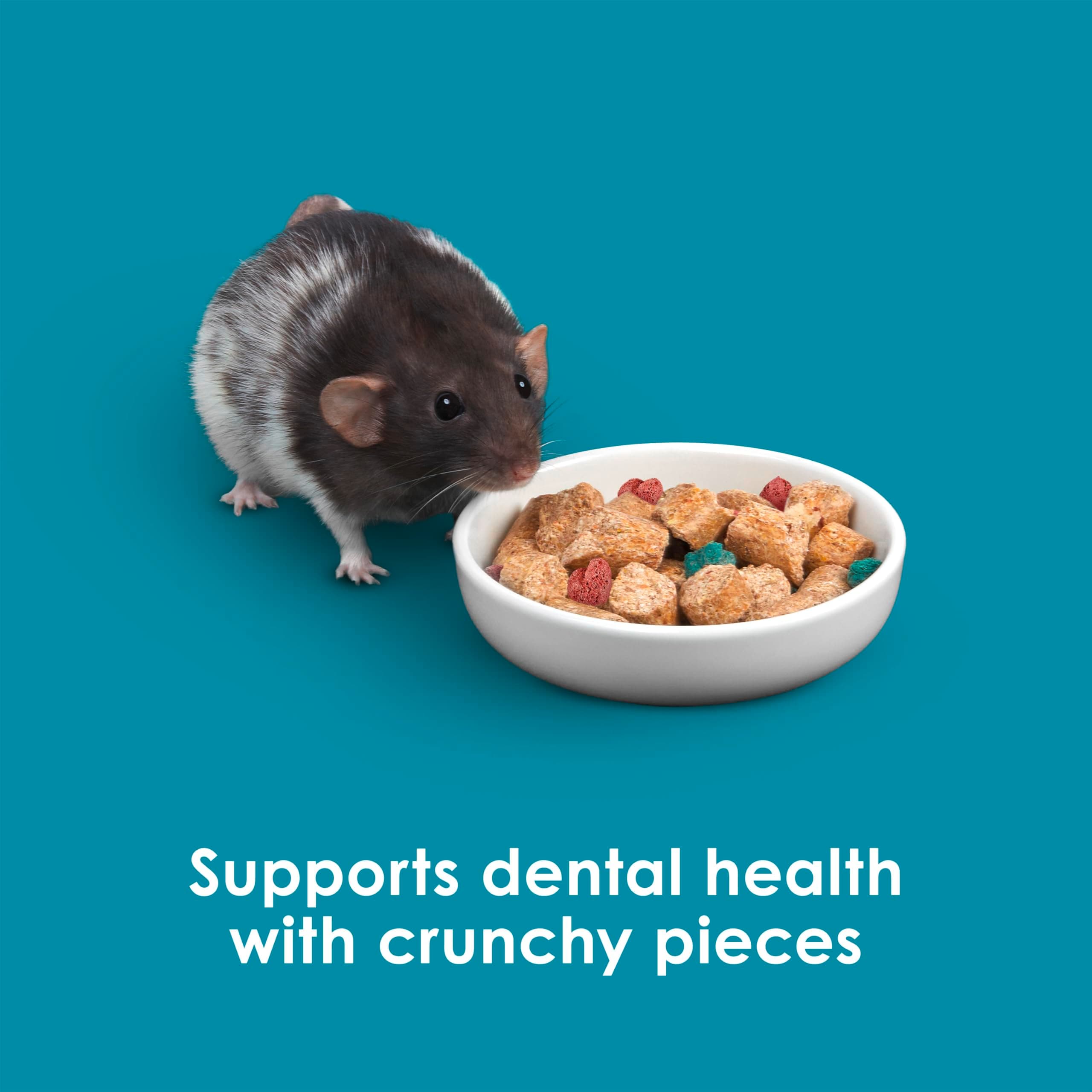 Kaytee Forti-Diet Pro Health Nourish+Protect Mouse, Rat & Hamster Food, Comprehe - Thumbnail 8