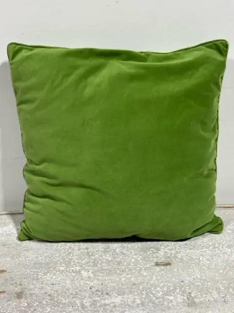 Green Velvet Pillow - Image 1