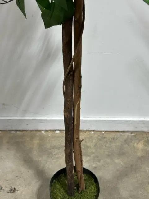 Faux Double Trunk Ficus Tree - Thumbnail 2