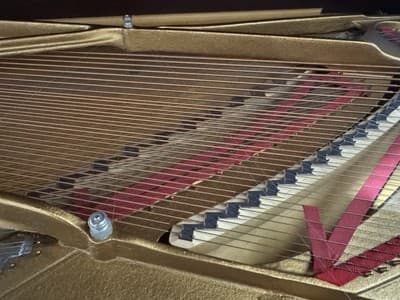 Steinway & Sons Model B – 1959 | Mahogany Finish + Bench - Thumbnail 10