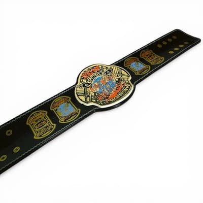 WWE Slap Bands ECW WORLD HEAVYWEIGHT CHAMPIONSHIP Title Belt Series 3 - Thumbnail 5