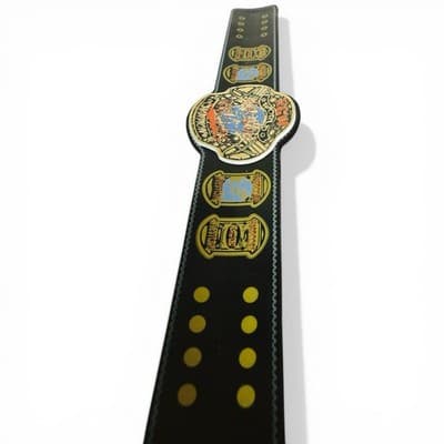 WWE Slap Bands ECW WORLD HEAVYWEIGHT CHAMPIONSHIP Title Belt Series 3 - Thumbnail 3