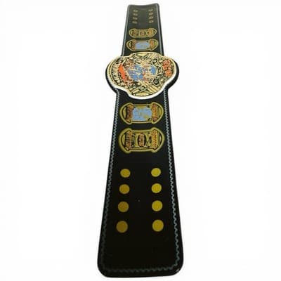 WWE Slap Bands ECW WORLD HEAVYWEIGHT CHAMPIONSHIP Title Belt Series 3 - Thumbnail 11