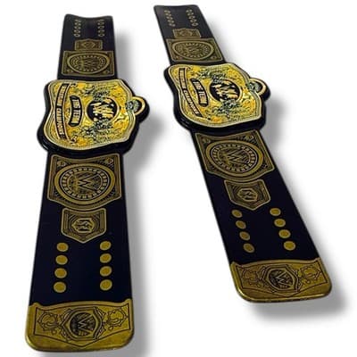 WWE Championship Slap Bands World Tag Team Title Series 1 Smackdown - Thumbnail 11